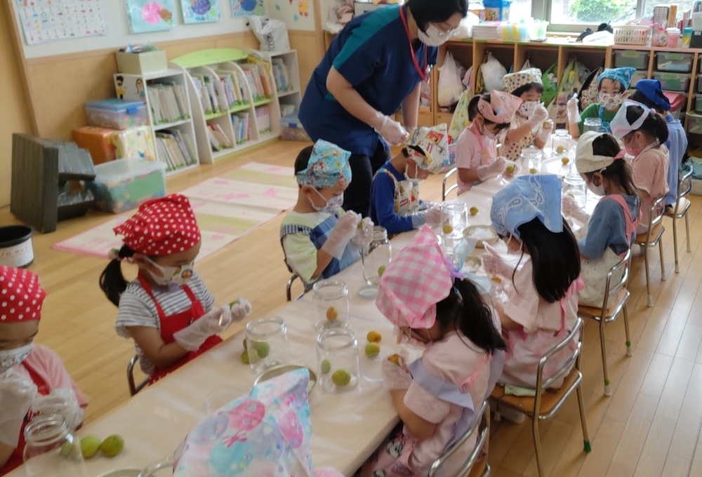 楽しいクッキング　梅シロップづくり1