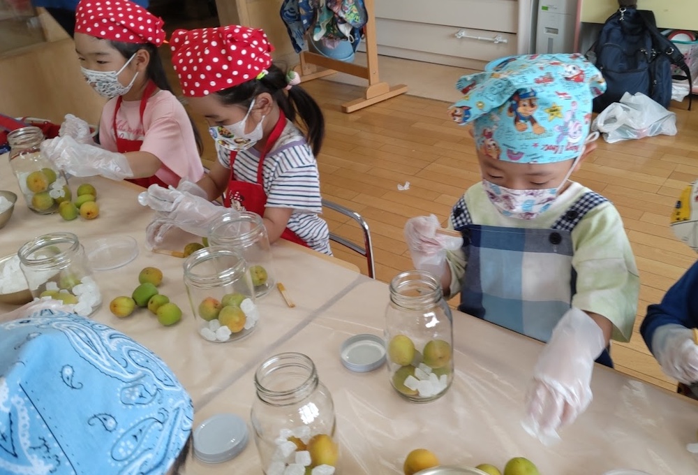 楽しいクッキング　梅シロップづくり2