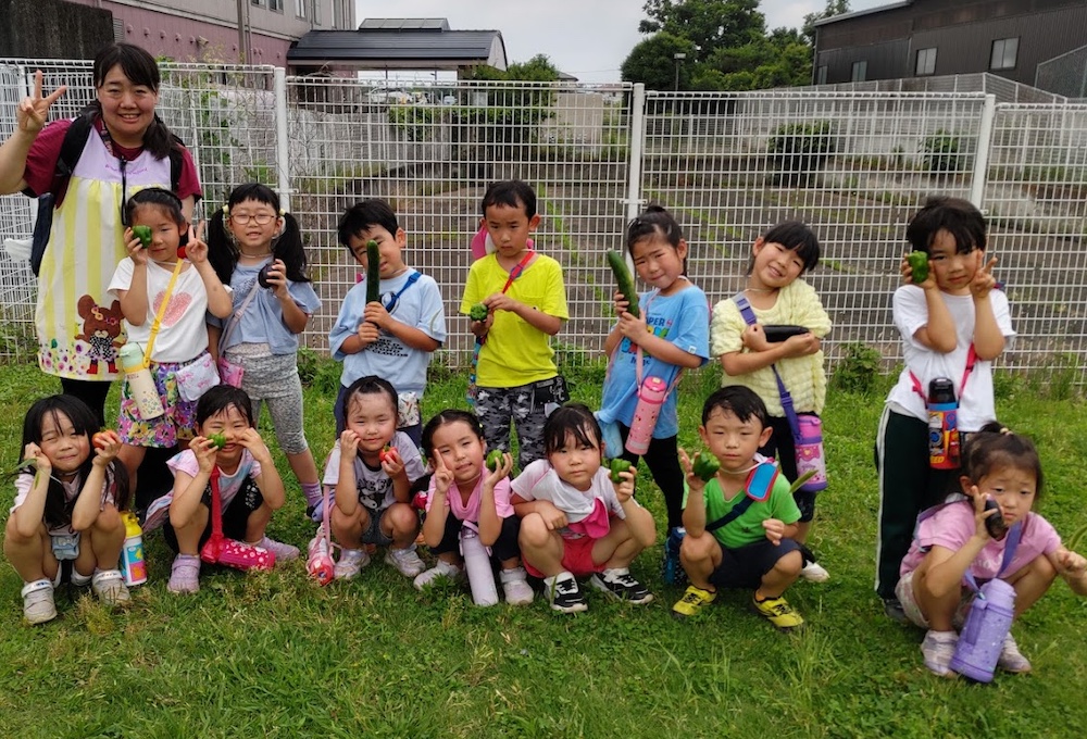 夏野菜がたくさんとれました