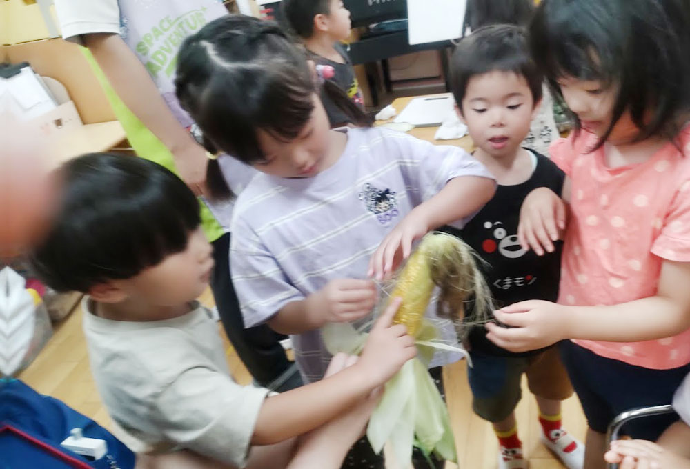 夏野菜にさわろう