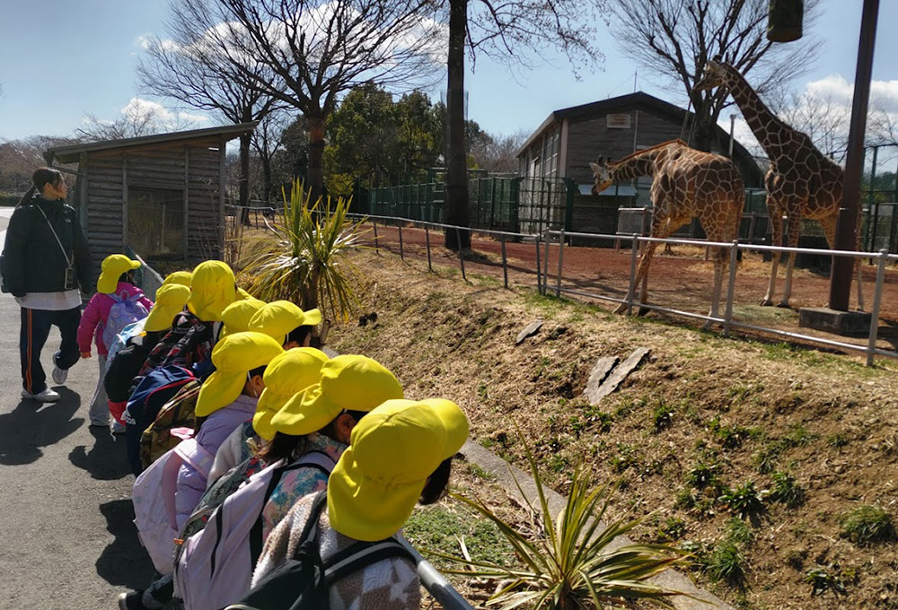 お別れ遠足　キリンを見たよ