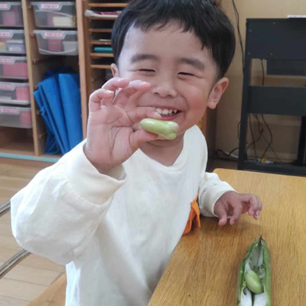 楽しいクッキング　そら豆の皮むき1