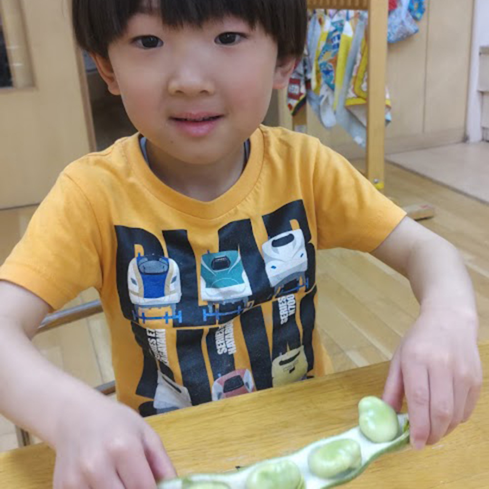 楽しいクッキング　そら豆の皮むき2