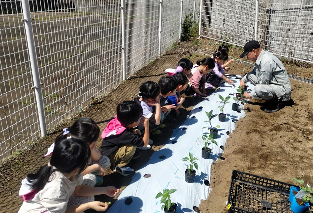 夏野菜の植え付け1