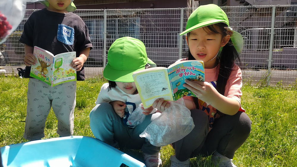 図鑑で何を調べているのかな