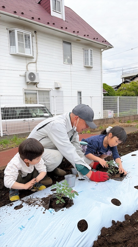 夏野菜の植え付け2